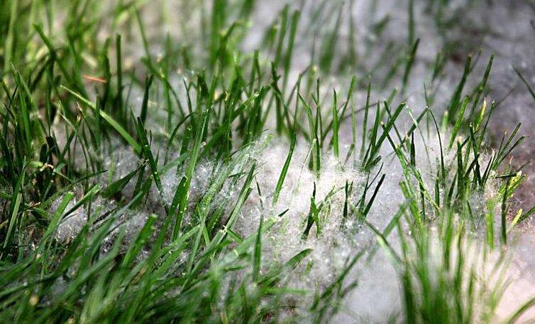 冬季將至，如何除去人造草皮中的冰雪？鉆石地為您支招